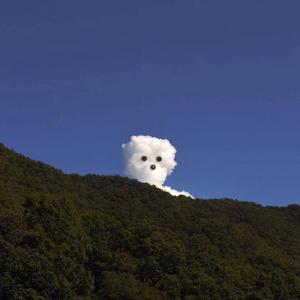 高压水枪冲阴道惩罚文章
